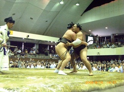 025-1sumo.jpg